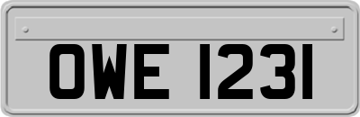 OWE1231