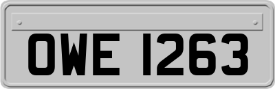 OWE1263