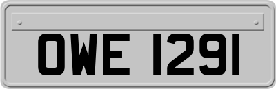 OWE1291