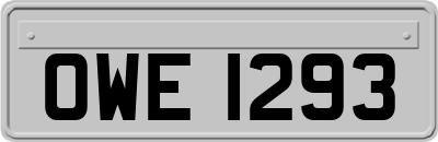 OWE1293