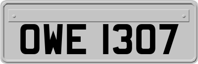 OWE1307