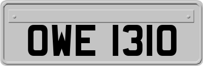 OWE1310