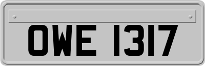 OWE1317