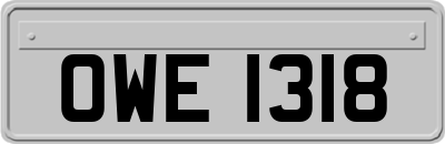 OWE1318