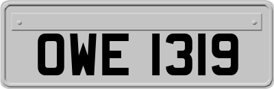 OWE1319