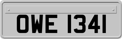 OWE1341