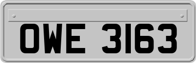 OWE3163