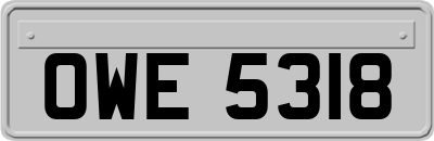 OWE5318