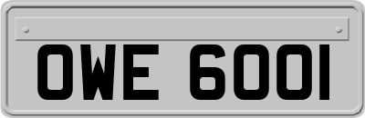 OWE6001