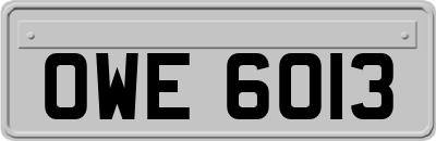 OWE6013