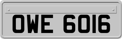 OWE6016