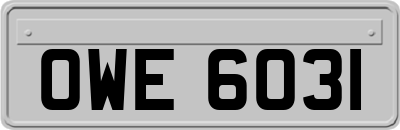 OWE6031