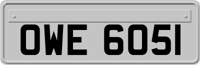 OWE6051
