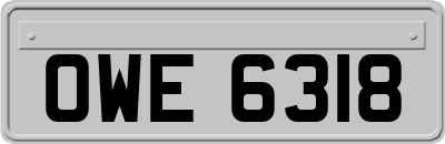 OWE6318