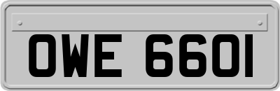 OWE6601