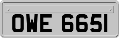 OWE6651