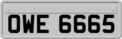 OWE6665