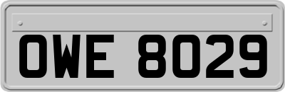 OWE8029