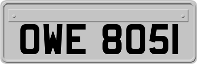 OWE8051