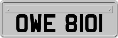OWE8101