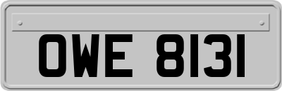OWE8131
