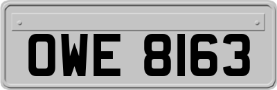 OWE8163