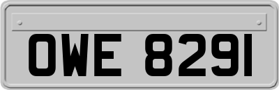 OWE8291