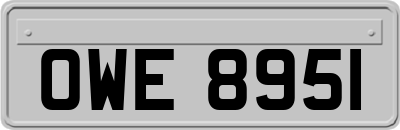 OWE8951