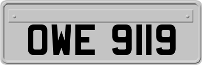 OWE9119