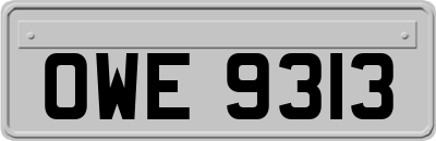 OWE9313