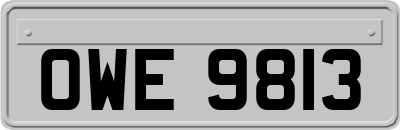OWE9813