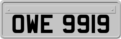 OWE9919