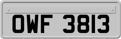OWF3813