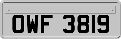 OWF3819