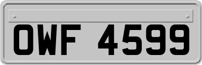 OWF4599