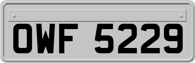 OWF5229