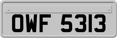 OWF5313