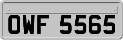 OWF5565