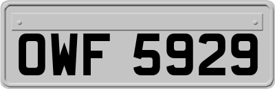OWF5929