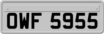 OWF5955