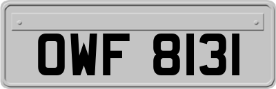 OWF8131