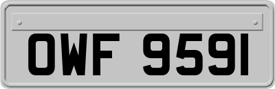 OWF9591