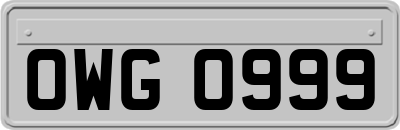 OWG0999