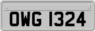 OWG1324