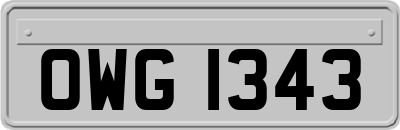 OWG1343