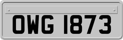 OWG1873