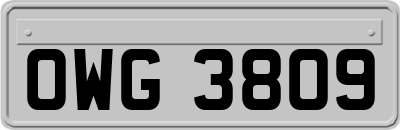 OWG3809