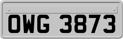 OWG3873