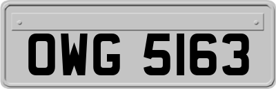 OWG5163