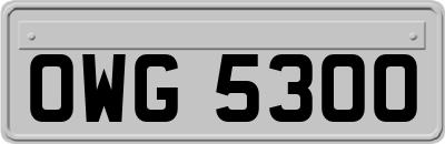 OWG5300